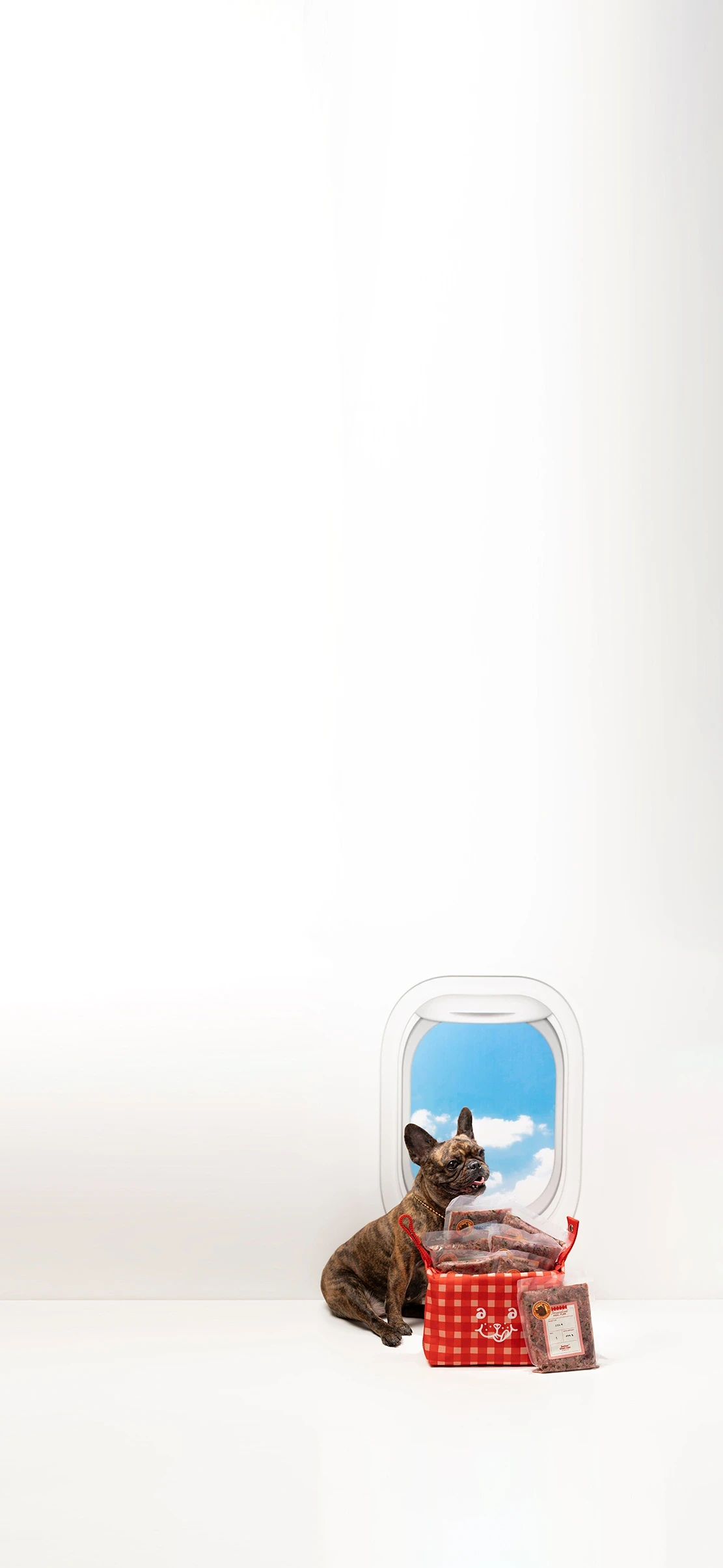 Section 1 Background